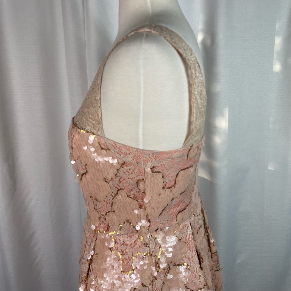 Anthropologie Eva Franco  Blush Gold Sequin Lace Fit and Flare Dress 8 - Picture 4 of 14